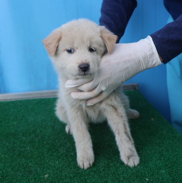 제주 동물보호센터_450650202403367